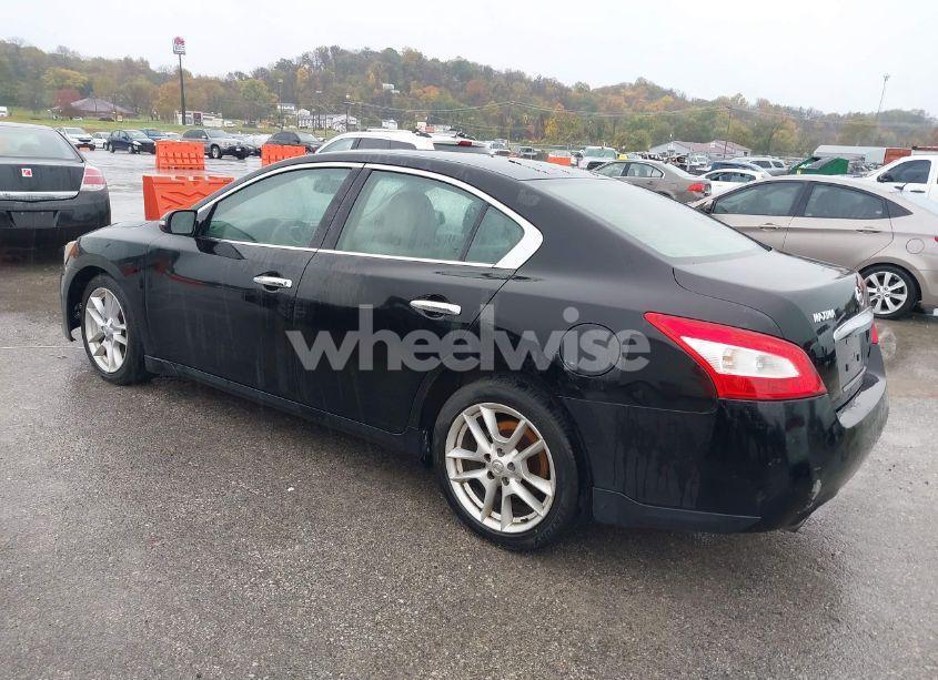 Photo 3 of 2009 Nissan Maxima 3.5 SV (VIN 1N4AA51E59C852323)