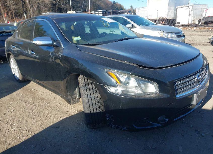 2009 Nissan Maxima 3.5 SV (VIN 1N4AA51E59C855450) main photo