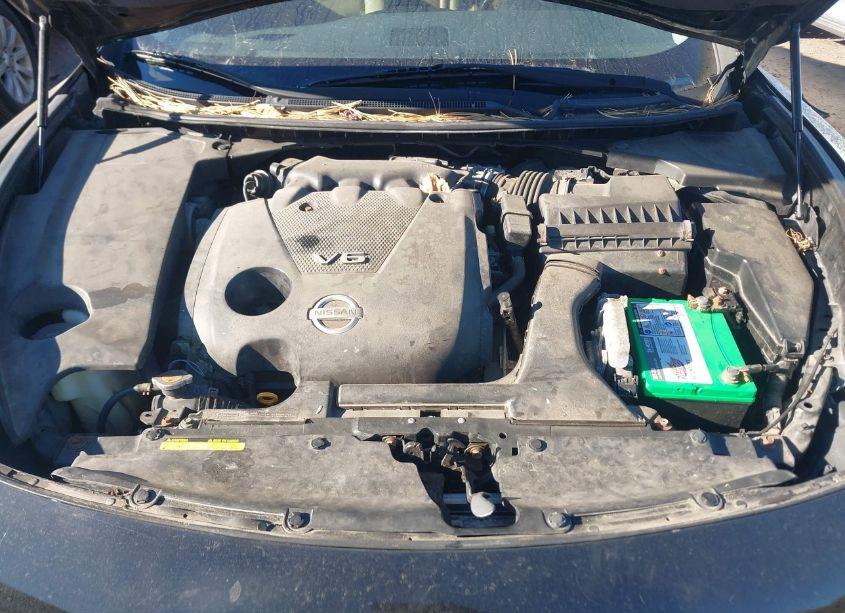 Photo 10 of 2009 Nissan Maxima 3.5 SV (VIN 1N4AA51E59C855450)