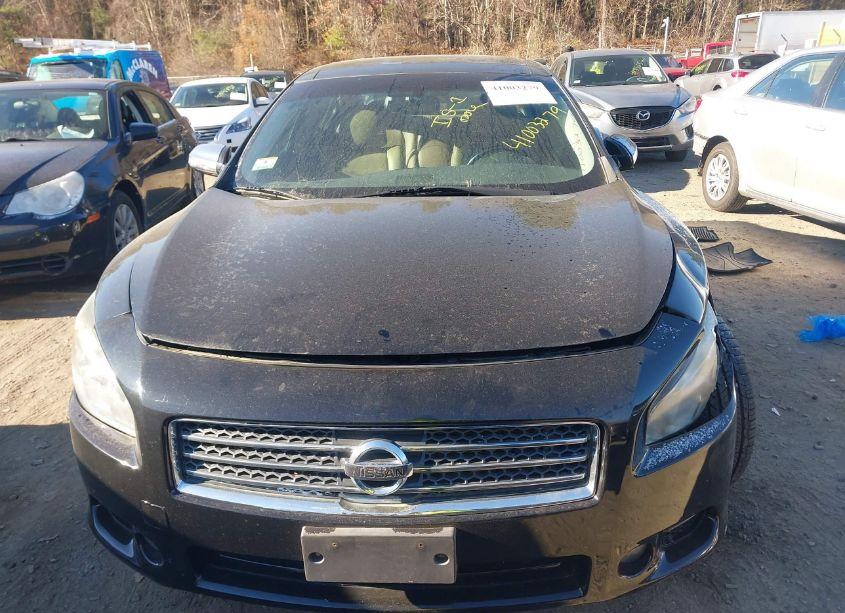 Photo 12 of 2009 Nissan Maxima 3.5 SV (VIN 1N4AA51E59C855450)