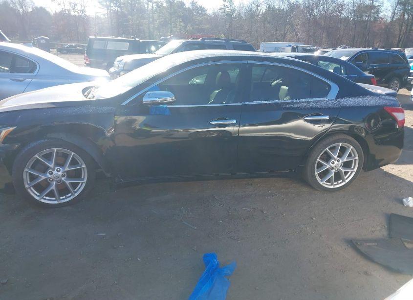 Photo 14 of 2009 Nissan Maxima 3.5 SV (VIN 1N4AA51E59C855450)