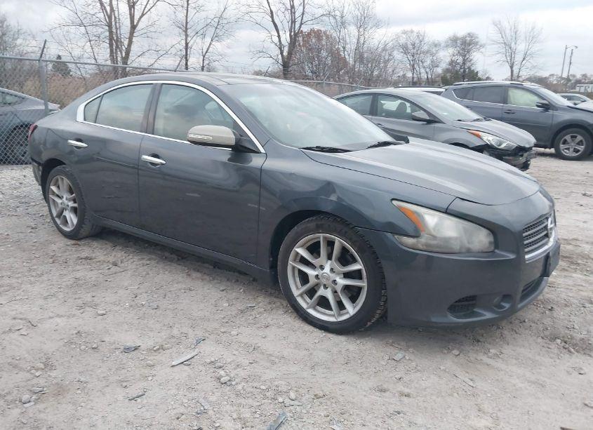 2009 Nissan Maxima 3.5 SV (VIN 1N4AA51E59C856923) main photo