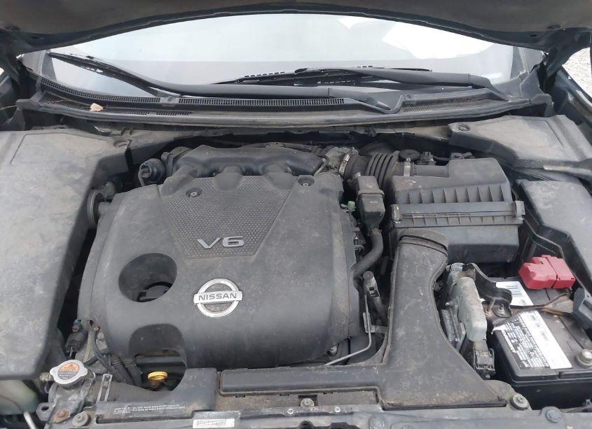 Photo 10 of 2009 Nissan Maxima 3.5 SV (VIN 1N4AA51E59C856923)