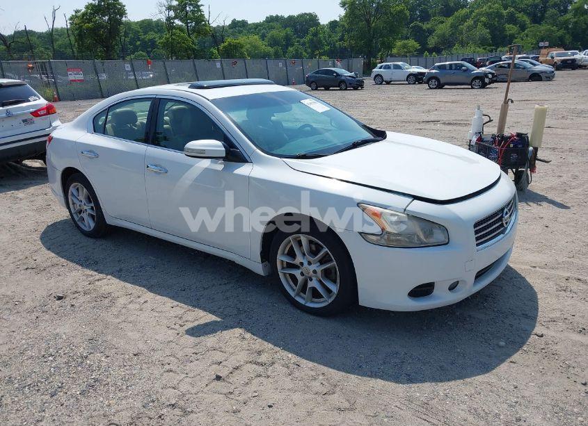 2009 Nissan Maxima 3.5 SV (VIN 1N4AA51E59C861653) main photo