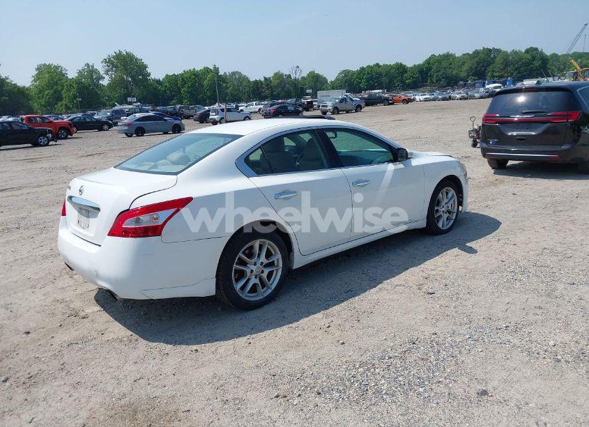 Photo 4 of 2009 Nissan Maxima 3.5 SV (VIN 1N4AA51E59C861653)