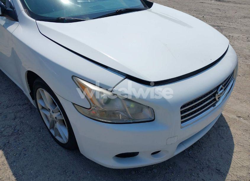 Photo 6 of 2009 Nissan Maxima 3.5 SV (VIN 1N4AA51E59C861653)