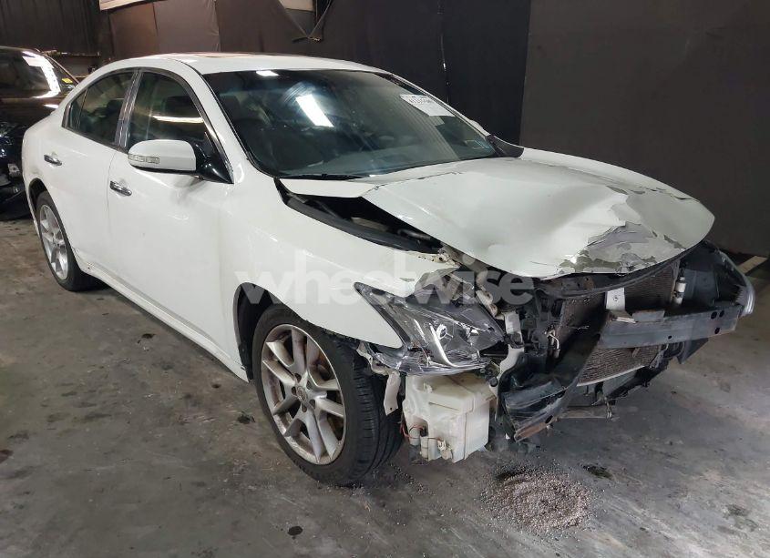 2009 Nissan Maxima S/SV (VIN 1N4AA51E69C828449) main photo