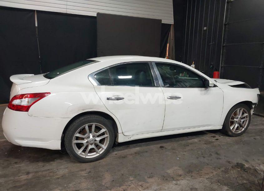 Photo 14 of 2009 Nissan Maxima S/SV (VIN 1N4AA51E69C828449)