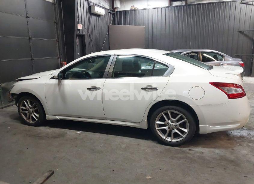 Photo 15 of 2009 Nissan Maxima S/SV (VIN 1N4AA51E69C828449)