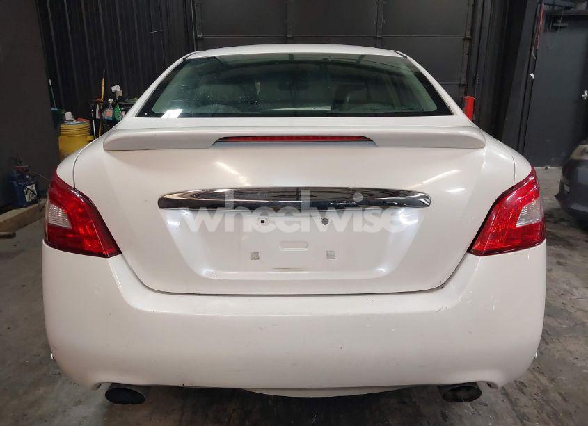 Photo 17 of 2009 Nissan Maxima S/SV (VIN 1N4AA51E69C828449)
