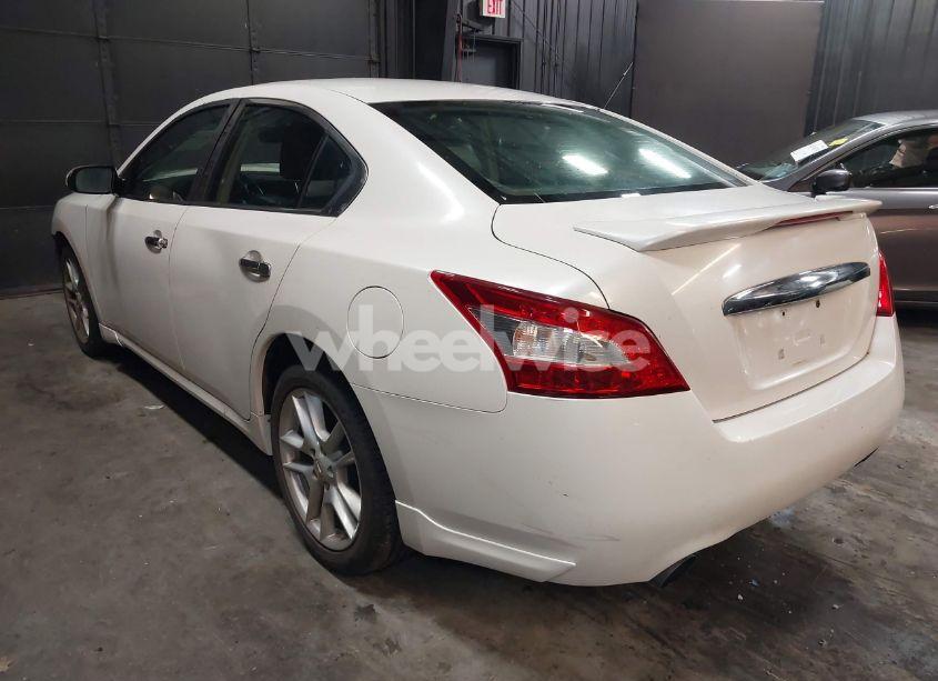 Photo 3 of 2009 Nissan Maxima S/SV (VIN 1N4AA51E69C828449)
