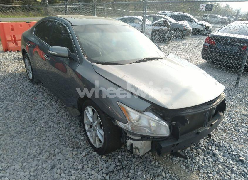 2009 Nissan Maxima 3.5 SV (VIN 1N4AA51E69C848247) main photo
