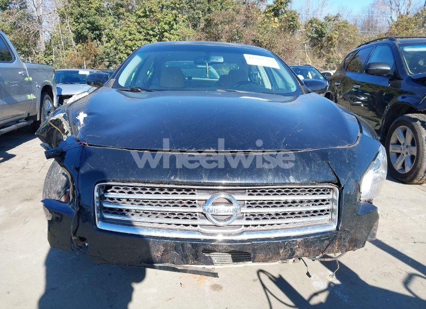 Photo 12 of 2009 Nissan Maxima 3.5 S (VIN 1N4AA51E69C858115)