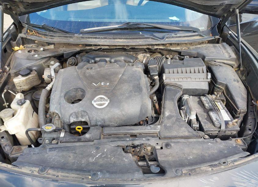 Photo 10 of 2009 Nissan Maxima 3.5 SV (VIN 1N4AA51E79C806427)