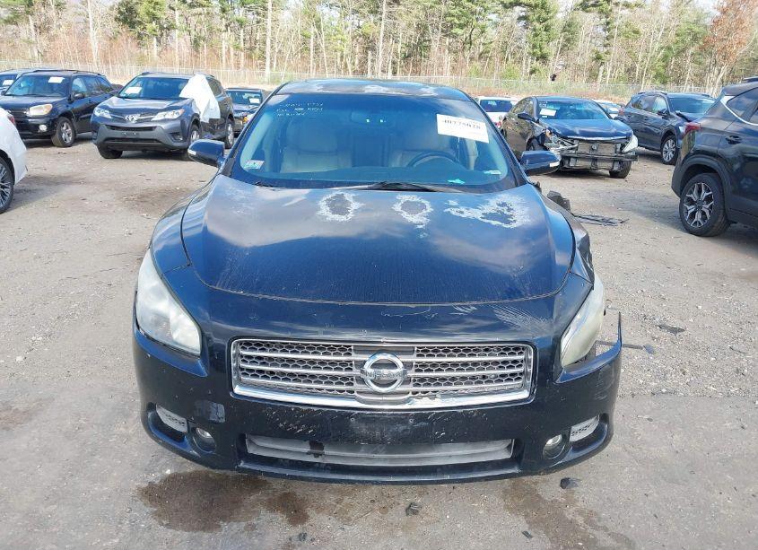 Photo 13 of 2009 Nissan Maxima 3.5 SV (VIN 1N4AA51E79C806427)