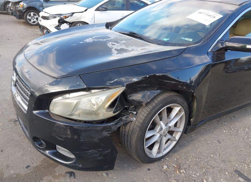 Photo 6 of 2009 Nissan Maxima 3.5 SV (VIN 1N4AA51E79C806427)