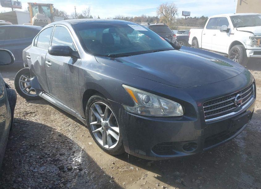 2009 Nissan Maxima 3.5 S (VIN 1N4AA51E79C823342) main photo