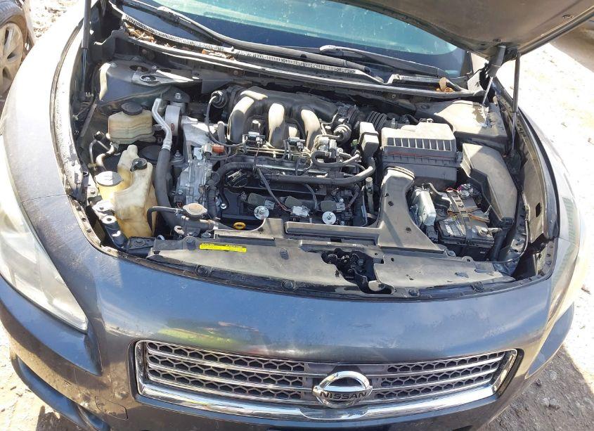 Photo 10 of 2009 Nissan Maxima 3.5 S (VIN 1N4AA51E79C823342)
