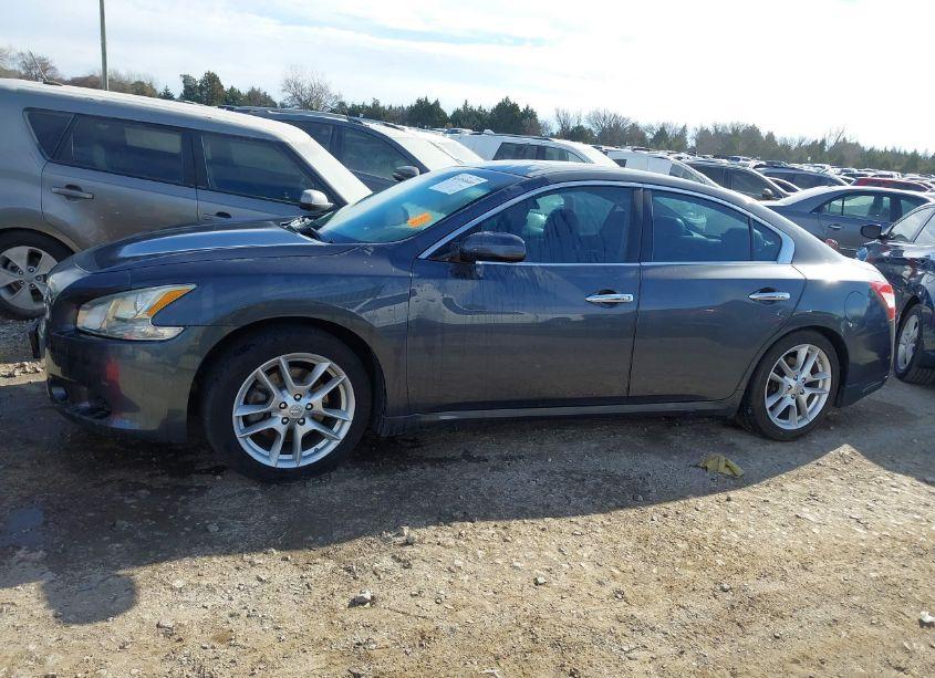 Photo 14 of 2009 Nissan Maxima 3.5 S (VIN 1N4AA51E79C823342)