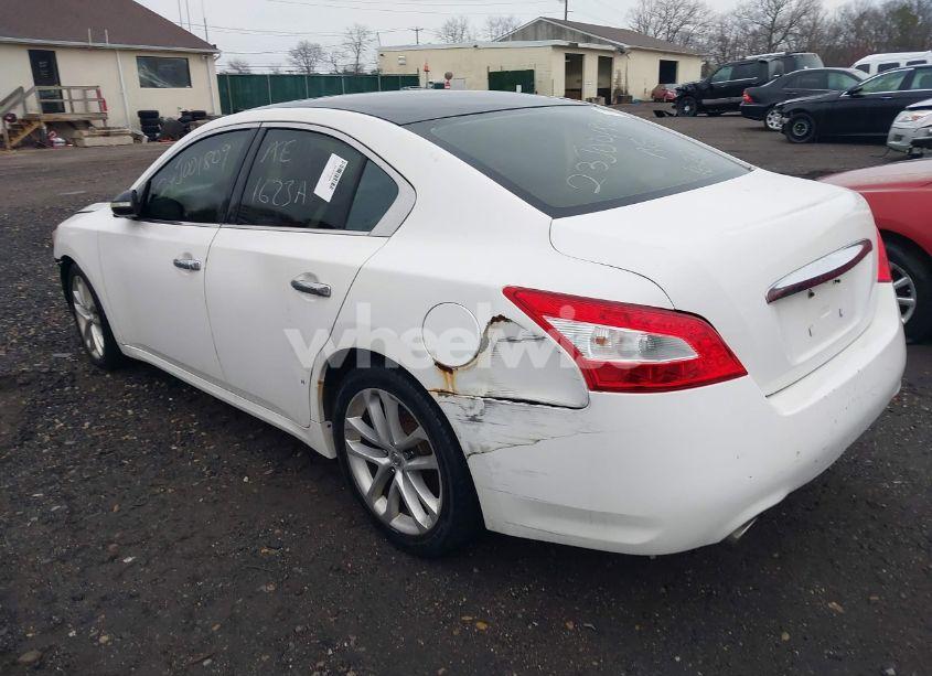 Photo 3 of 2009 Nissan Maxima 3.5 SV (VIN 1N4AA51E79C841260)