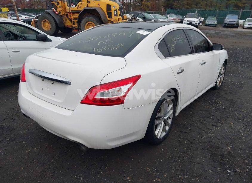 Photo 4 of 2009 Nissan Maxima 3.5 SV (VIN 1N4AA51E79C841260)