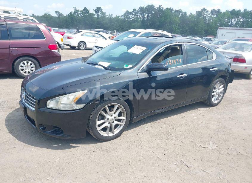 Photo 2 of 2009 Nissan Maxima 3.5 S (VIN 1N4AA51E79C852100)