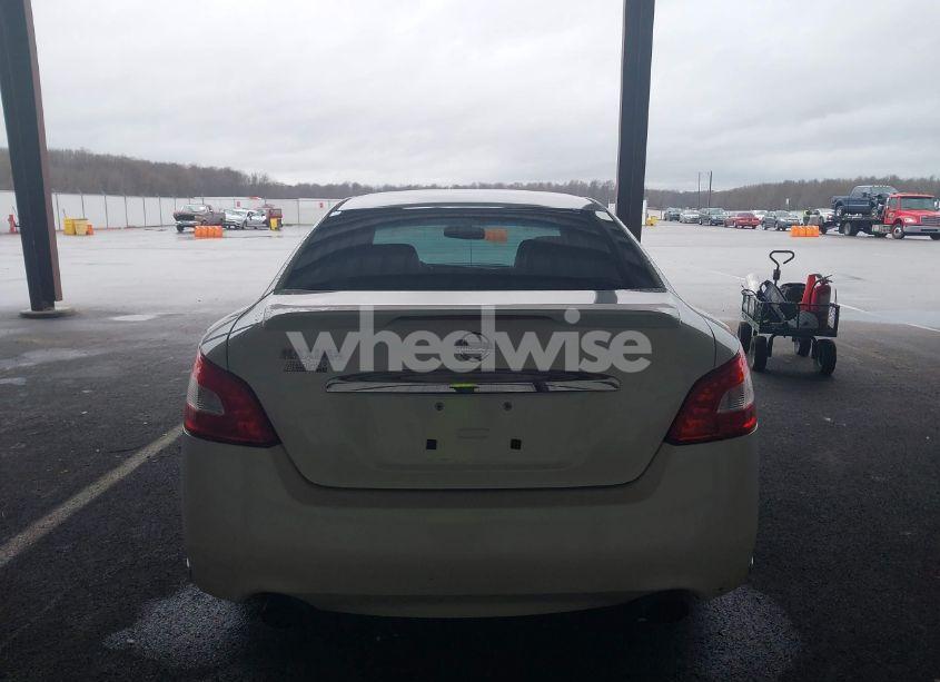 Photo 17 of 2009 Nissan Maxima 3.5 SV (VIN 1N4AA51E79C852467)