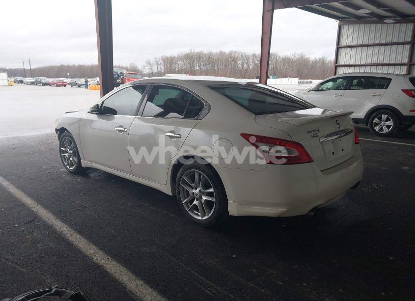 Photo 3 of 2009 Nissan Maxima 3.5 SV (VIN 1N4AA51E79C852467)