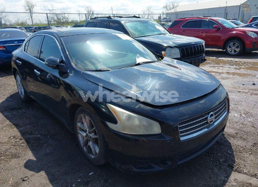 2009 Nissan Maxima 3.5 SV (VIN 1N4AA51E79C854980) main photo