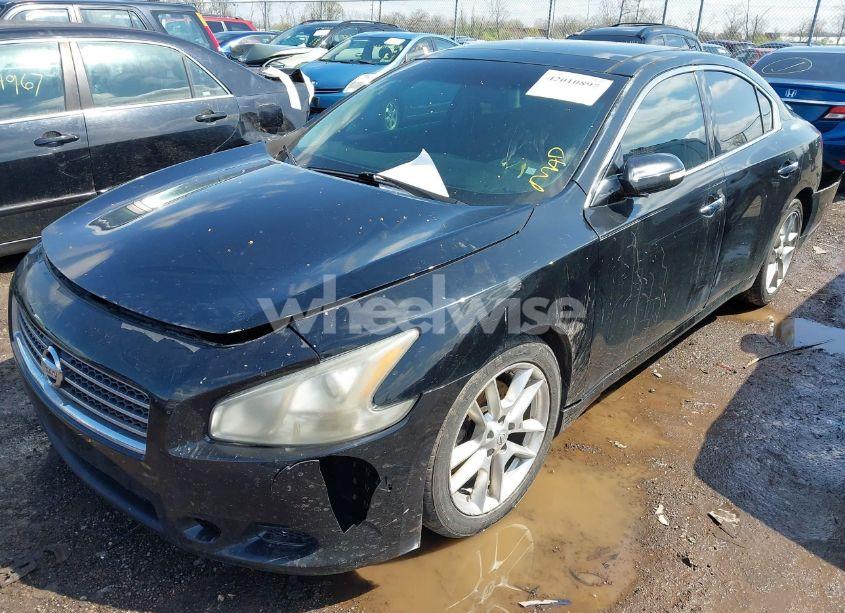 Photo 2 of 2009 Nissan Maxima 3.5 SV (VIN 1N4AA51E79C854980)