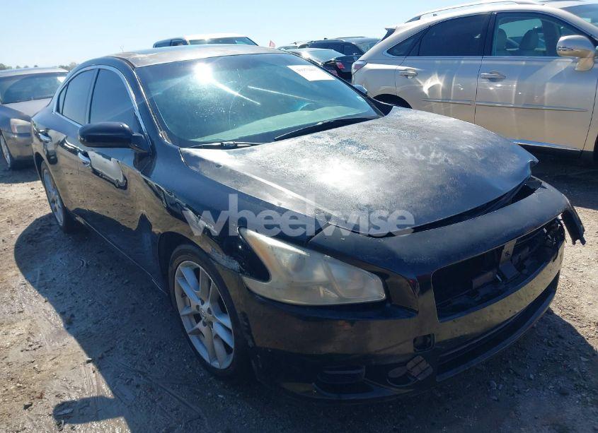 2009 Nissan Maxima 3.5 S (VIN 1N4AA51E79C859905) main photo