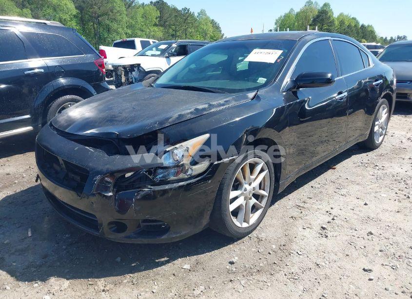 Photo 2 of 2009 Nissan Maxima 3.5 S (VIN 1N4AA51E79C859905)