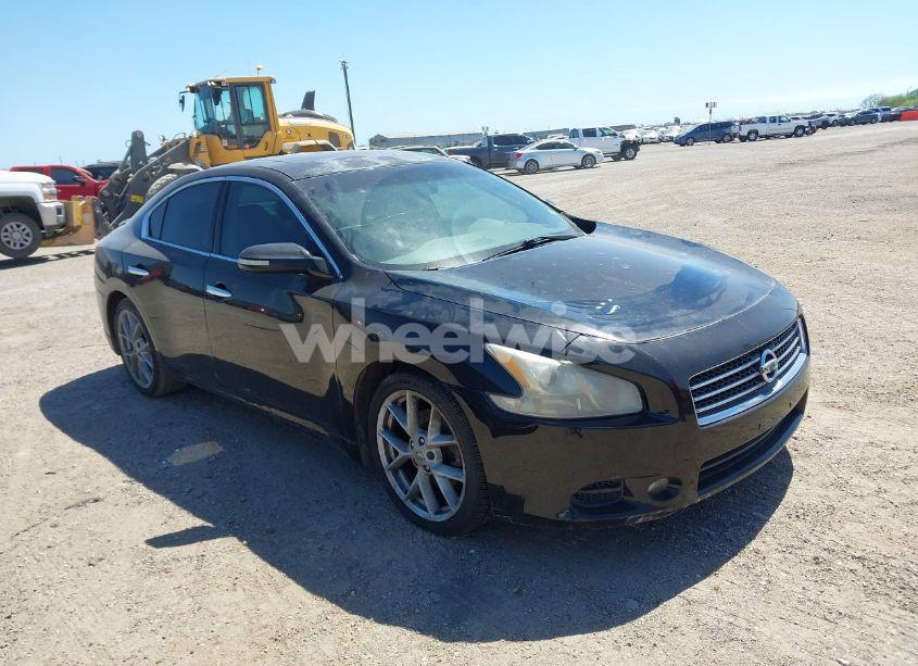 2009 Nissan Maxima 3.5 SV (VIN 1N4AA51E89C806999) main photo