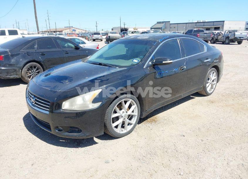 Photo 2 of 2009 Nissan Maxima 3.5 SV (VIN 1N4AA51E89C806999)