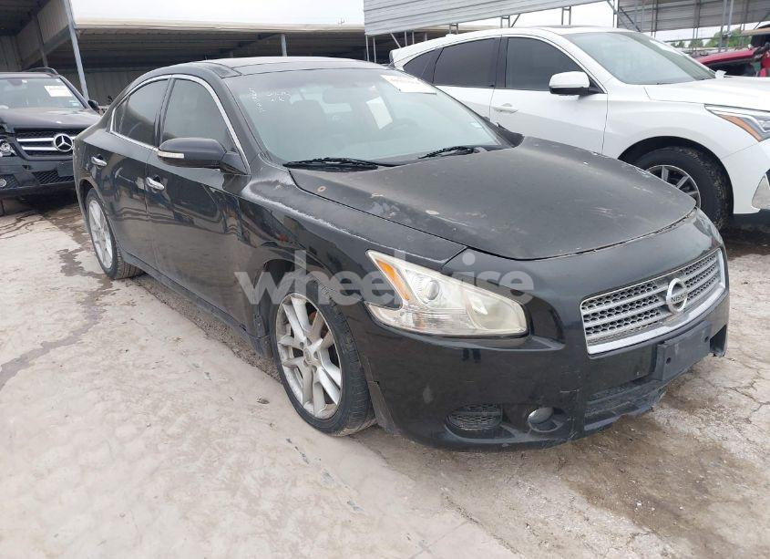 2009 Nissan Maxima 3.5 SV (VIN 1N4AA51E89C831062) main photo