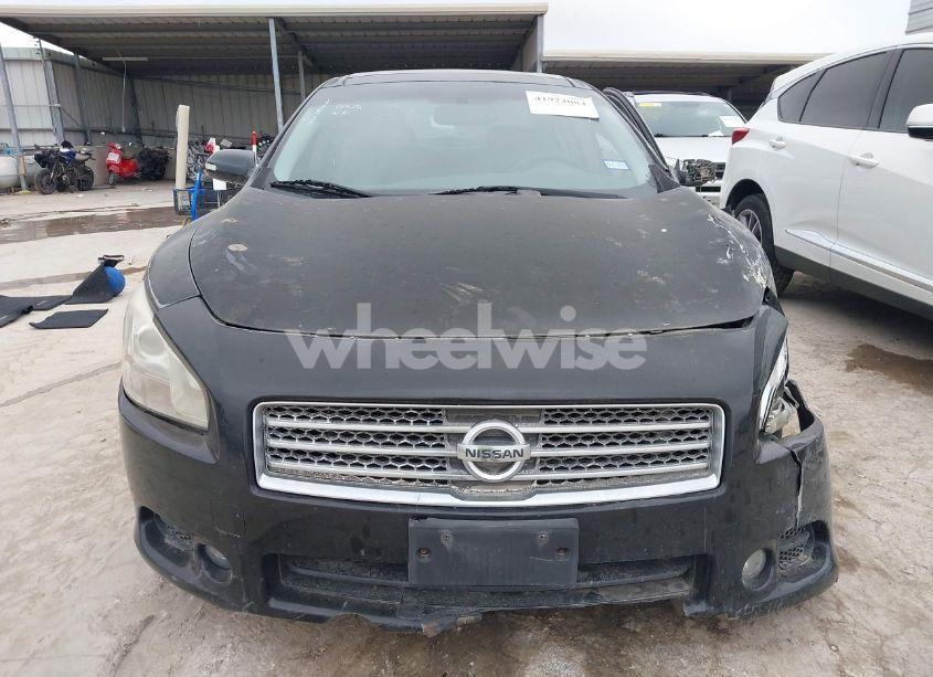 Photo 12 of 2009 Nissan Maxima 3.5 SV (VIN 1N4AA51E89C831062)
