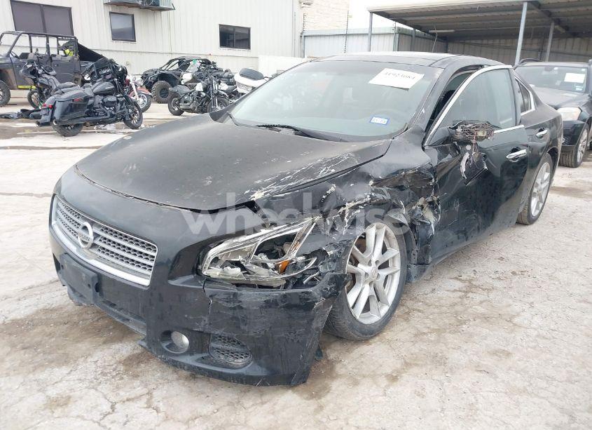 Photo 2 of 2009 Nissan Maxima 3.5 SV (VIN 1N4AA51E89C831062)