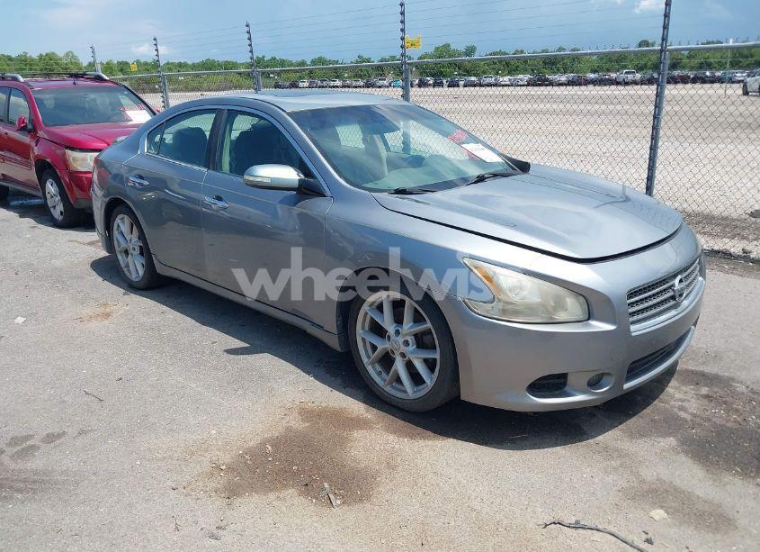 2009 Nissan Maxima 3.5 SV (VIN 1N4AA51E89C842031) main photo