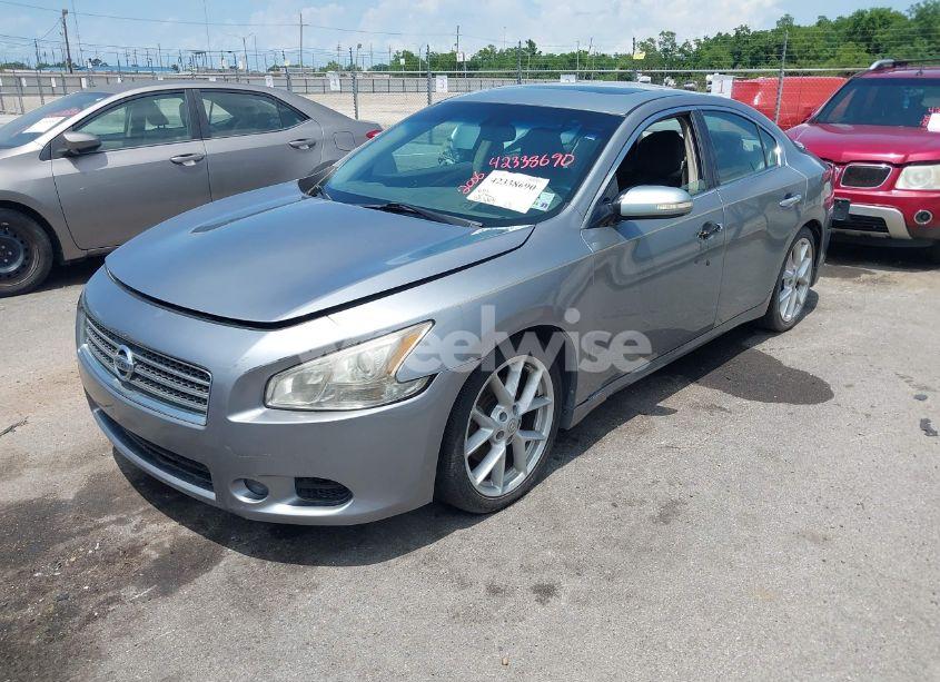 Photo 2 of 2009 Nissan Maxima 3.5 SV (VIN 1N4AA51E89C842031)