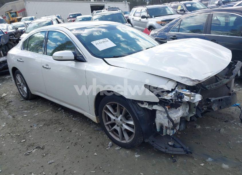 2009 Nissan Maxima 3.5 SV (VIN 1N4AA51E89C849268) main photo