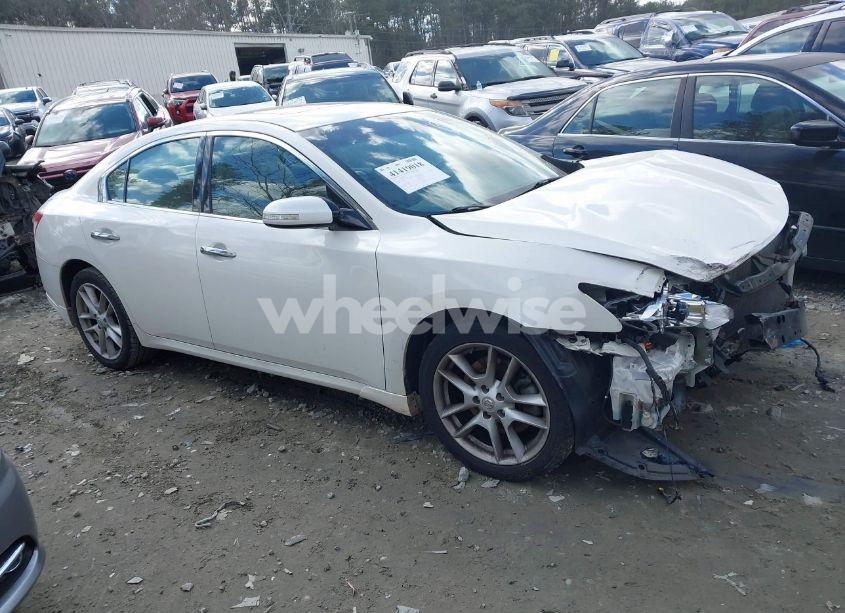 Photo 12 of 2009 Nissan Maxima 3.5 SV (VIN 1N4AA51E89C849268)