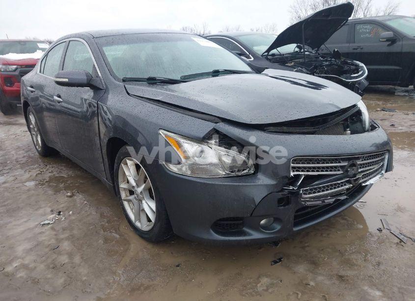 2009 Nissan Maxima 3.5 SV (VIN 1N4AA51E89C859671) main photo