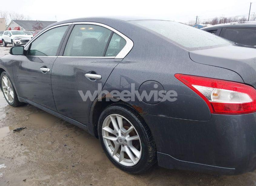 Photo 14 of 2009 Nissan Maxima 3.5 SV (VIN 1N4AA51E89C859671)