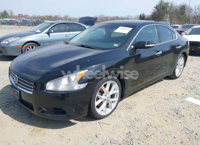 Photo 2 of 2009 Nissan Maxima 3.5 SV (VIN 1N4AA51E99C811063)