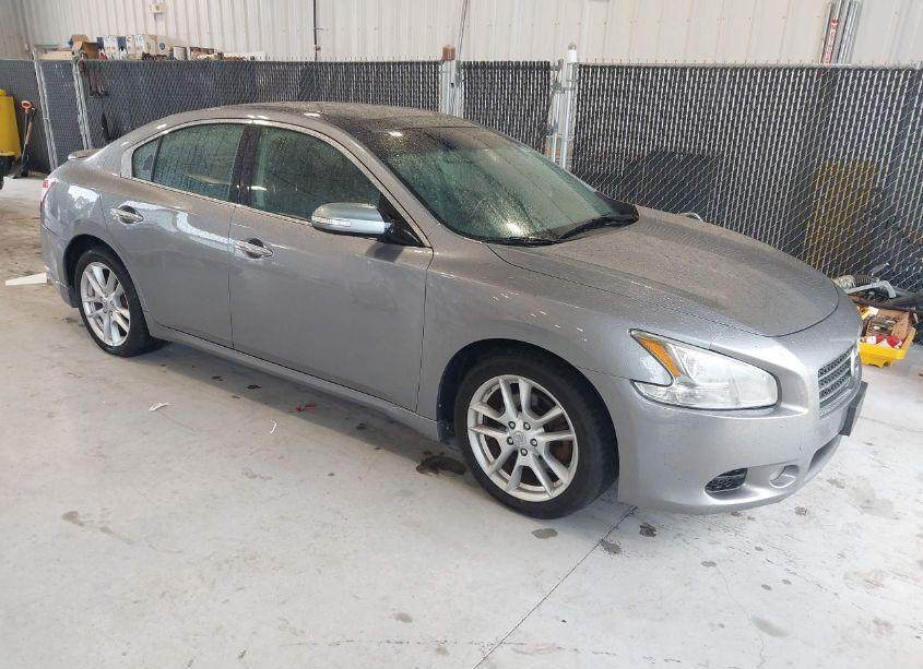 2009 Nissan Maxima 3.5 SV (VIN 1N4AA51E99C818692) main photo