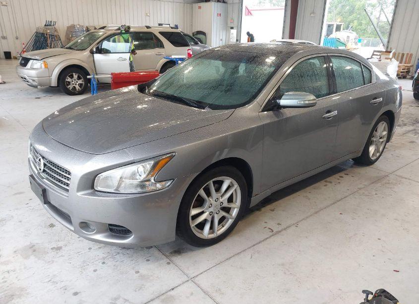 Photo 2 of 2009 Nissan Maxima 3.5 SV (VIN 1N4AA51E99C818692)