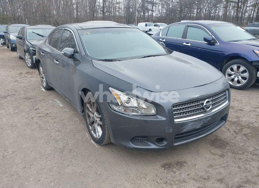 2009 Nissan Maxima 3.5 SV (VIN 1N4AA51E99C826310) main photo
