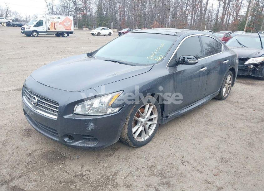 Photo 2 of 2009 Nissan Maxima 3.5 SV (VIN 1N4AA51E99C826310)