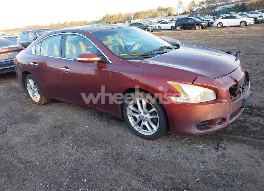 2009 Nissan Maxima 3.5 SV (VIN 1N4AA51E99C828901) main photo