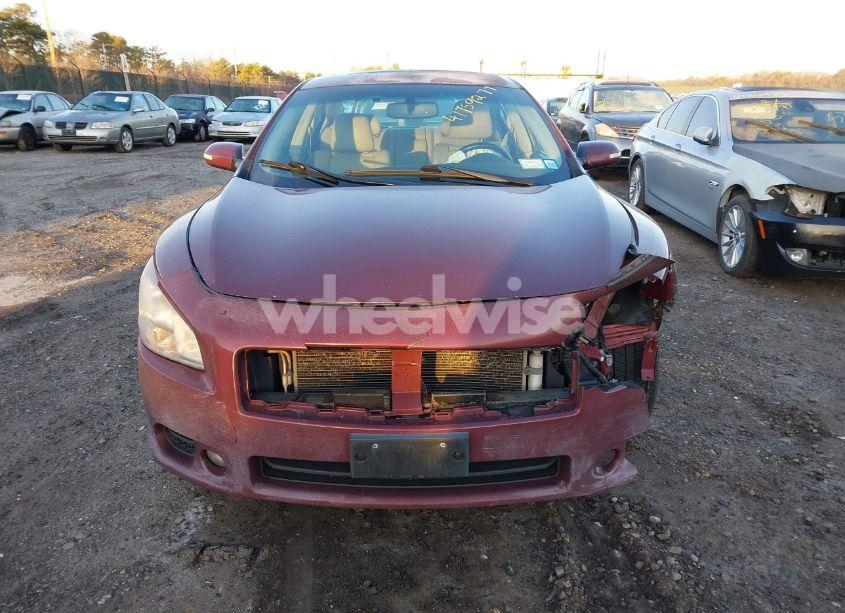 Photo 12 of 2009 Nissan Maxima 3.5 SV (VIN 1N4AA51E99C828901)
